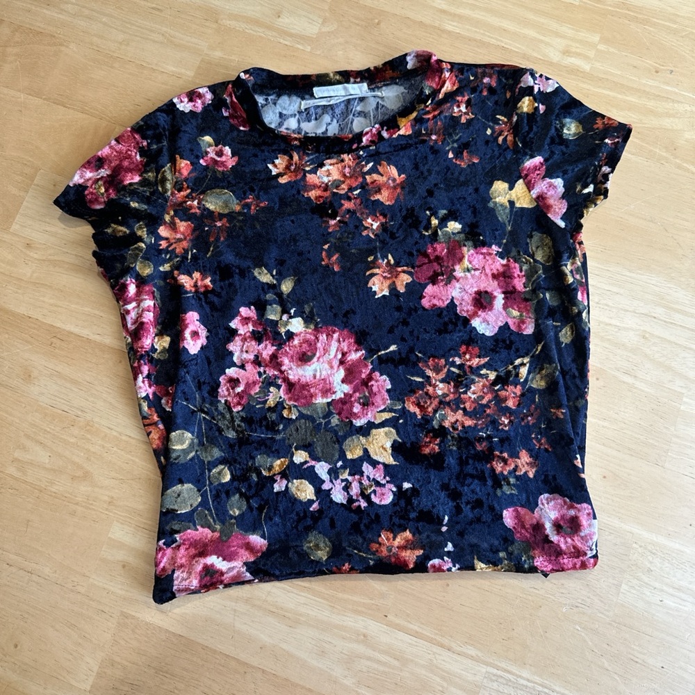 Urban Outfitters Velvet Floral Top Small